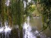 am See in Weinheim